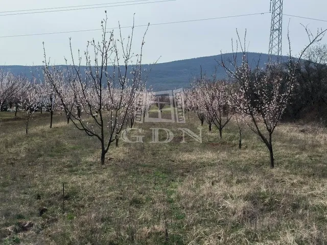 Eladó mezőgazdasági ingatlan Pomáz 3876 nm