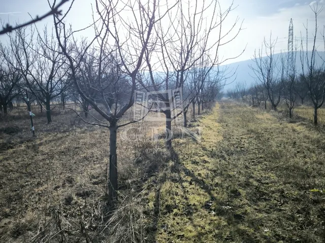 Eladó mezőgazdasági ingatlan Pomáz 3876 nm