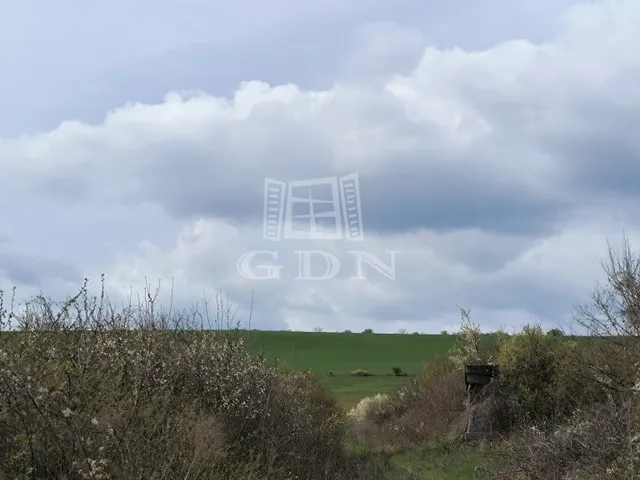 Eladó telek Kálló 13021 nm