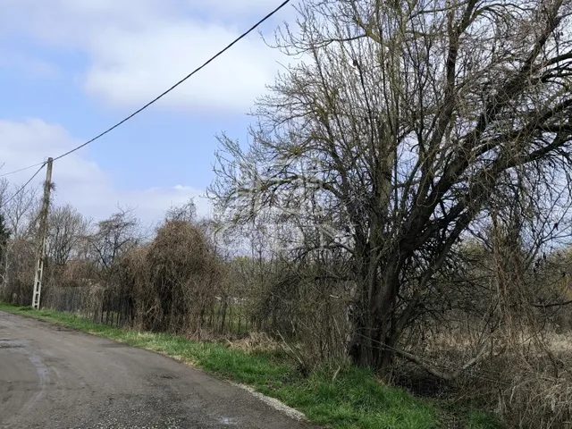 Eladó mezőgazdasági ingatlan Göd, Felsőgöd 24131 nm