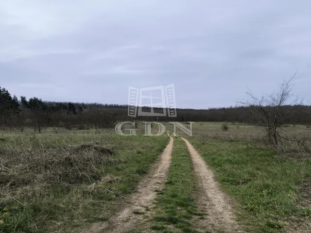 Eladó mezőgazdasági ingatlan Hévízgyörk 41192 nm