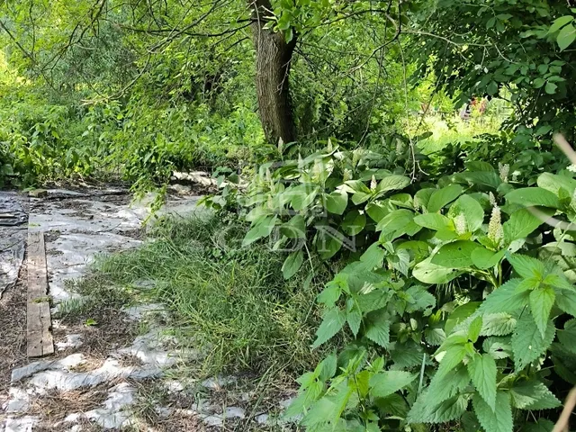 Eladó mezőgazdasági ingatlan Dunakeszi 1205 nm