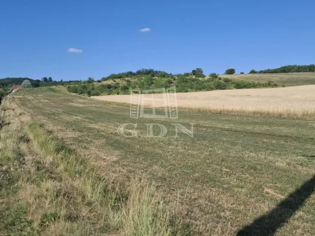 Eladó mezőgazdasági ingatlan Mogyoród 3000 nm