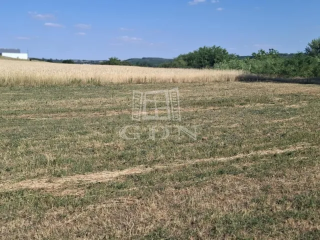 Eladó mezőgazdasági ingatlan Mogyoród 3000 nm