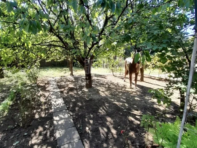 Eladó ház Vác 110 nm