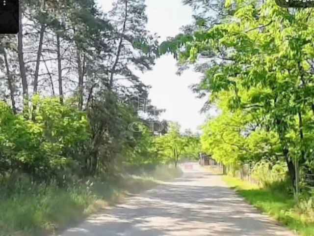 Eladó mezőgazdasági ingatlan Domony 1073 nm