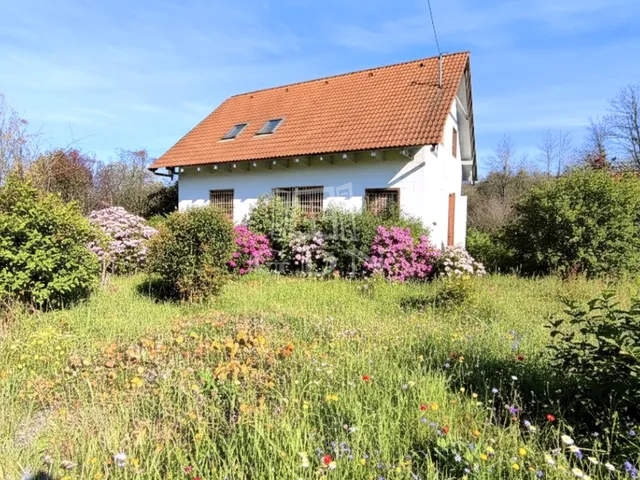 Eladó ház Domony 94 nm