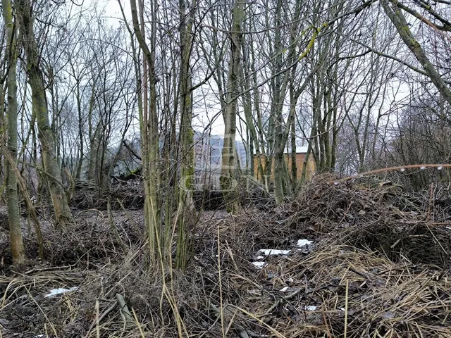 Eladó telek Dunabogdány 978 nm