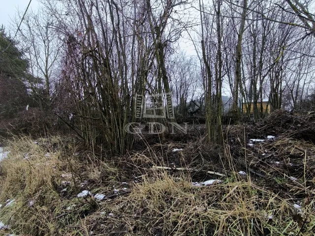 Eladó telek Dunabogdány 978 nm