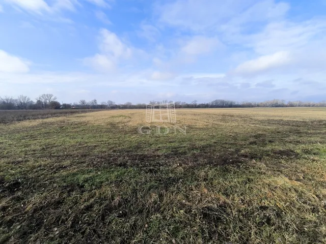 Eladó mezőgazdasági ingatlan Dunakeszi 21992 nm