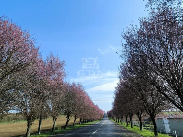 Eladó ház Berkenye 114 nm