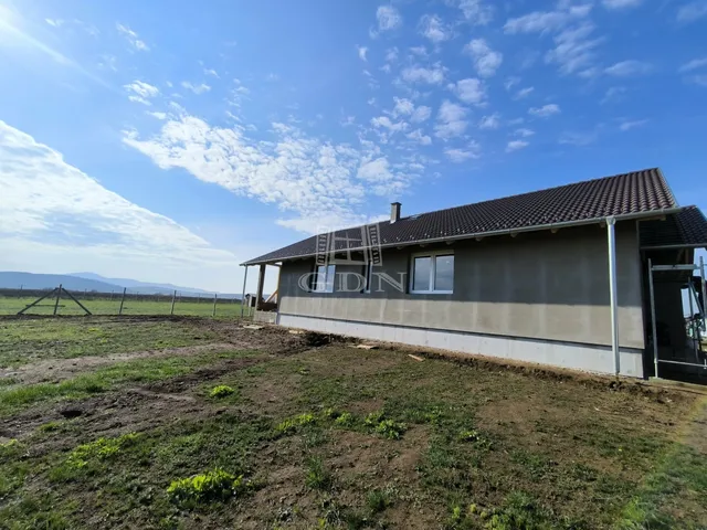 Eladó ház Berkenye 114 nm