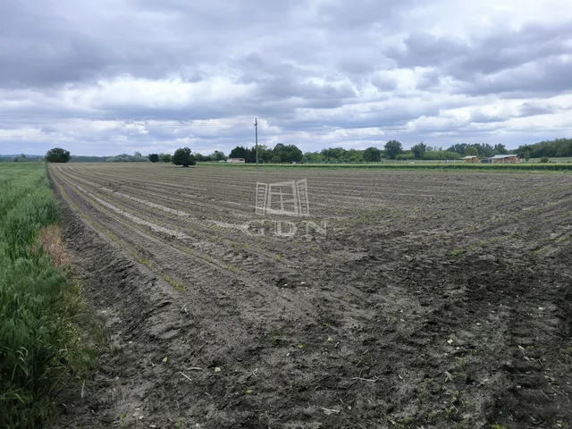 Eladó mezőgazdasági ingatlan Pócsmegyer 2345 nm