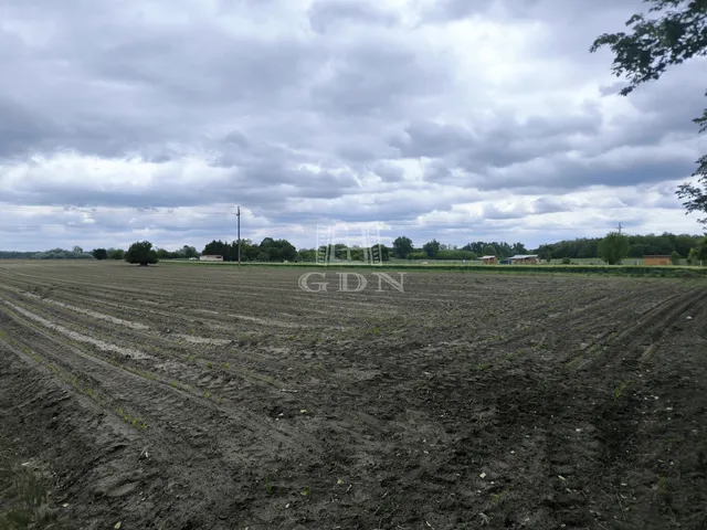 Eladó mezőgazdasági ingatlan Pócsmegyer 2345 nm