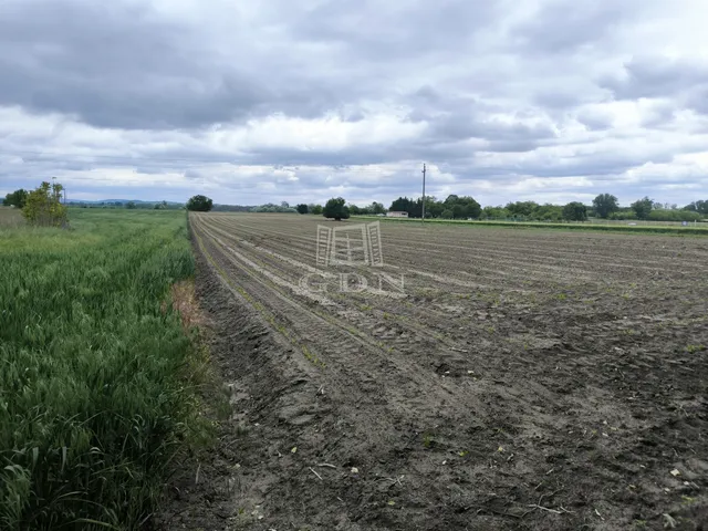 Eladó mezőgazdasági ingatlan Pócsmegyer 2345 nm