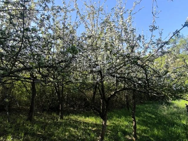 Eladó üdülő és hétvégi ház Nógrád 22 nm