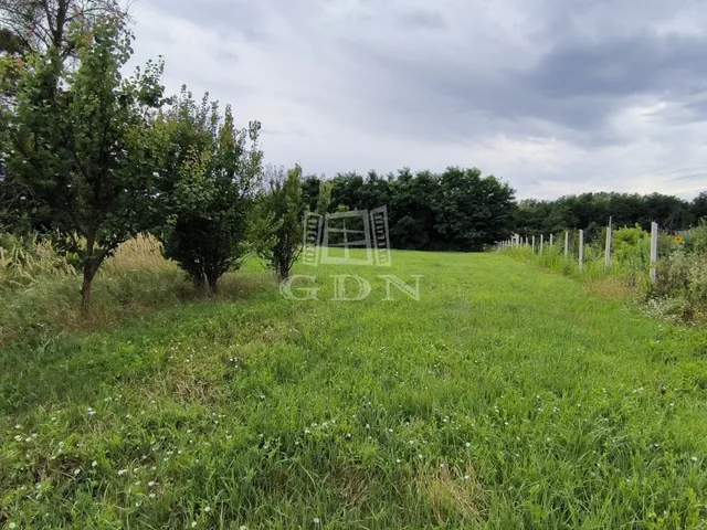 Eladó telek Belezna 2604 nm