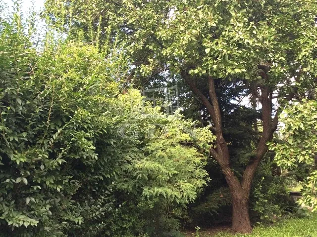 Eladó ház Maglód 46 nm