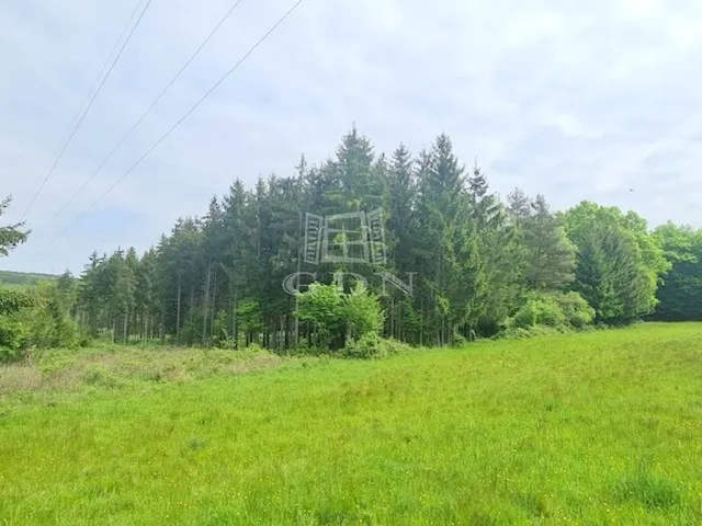 Eladó mezőgazdasági ingatlan Nagyrákos 250000 nm