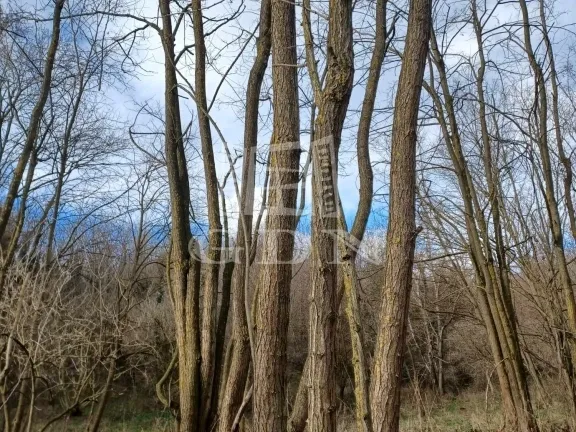 Eladó mezőgazdasági ingatlan Sárhida 3800 nm