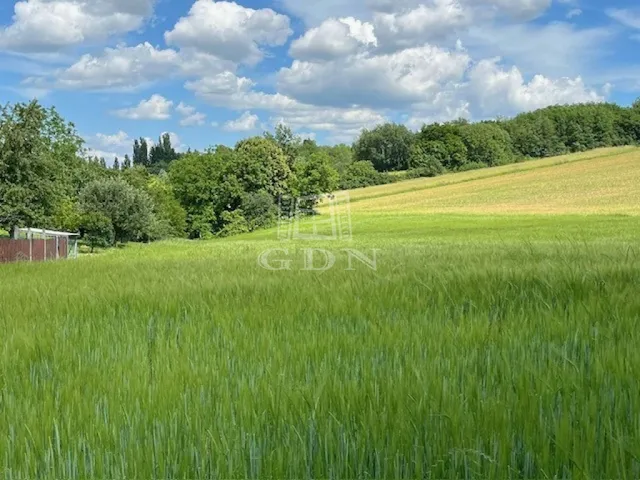 Eladó telek Boncodfölde 1253 nm