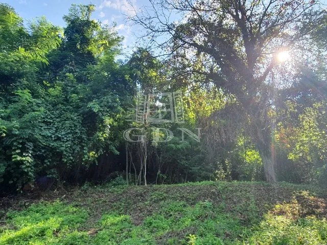 Eladó telek Zalaegerszeg, Csács 26096 nm