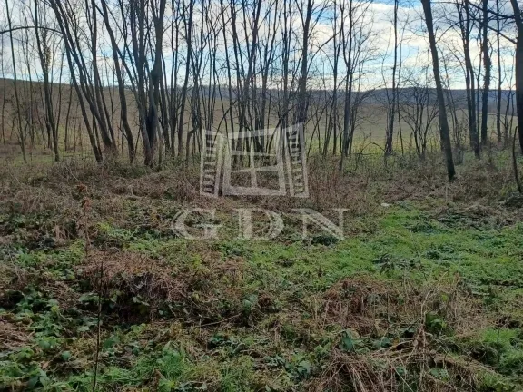 Eladó mezőgazdasági ingatlan Sárhida 3800 nm