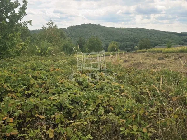 Eladó telek Zalaegerszeg, Ebergény 2780 nm