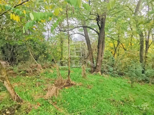 Eladó telek Gersekarát 2841 nm