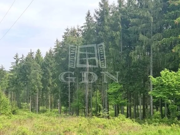 Eladó mezőgazdasági ingatlan Nagyrákos 21000 nm