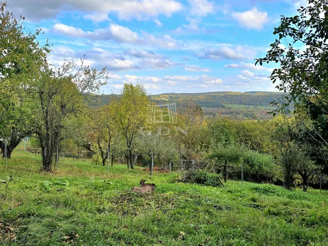 Eladó telek Zalaegerszeg, Öreghegy 5300 nm