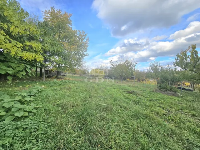 Eladó telek Zalaegerszeg, Öreghegy 5300 nm