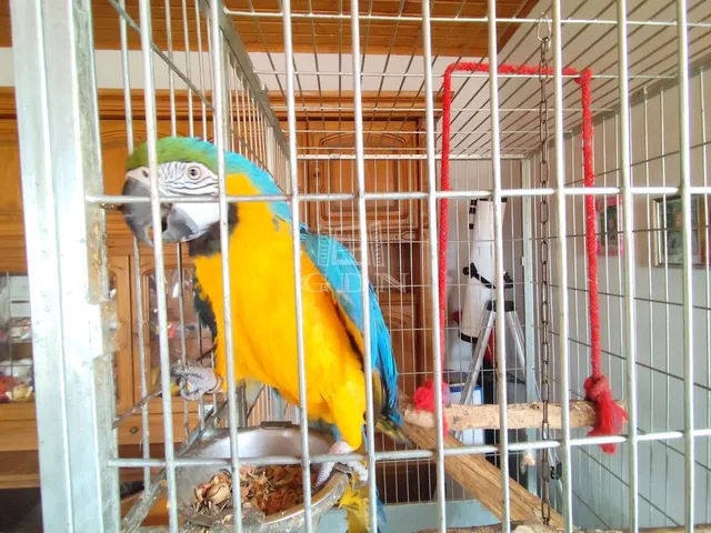 Eladó ház Mátyásdomb 142 nm