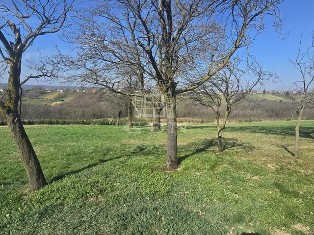 Eladó telek Zalaegerszeg, Újhegy 1356 nm