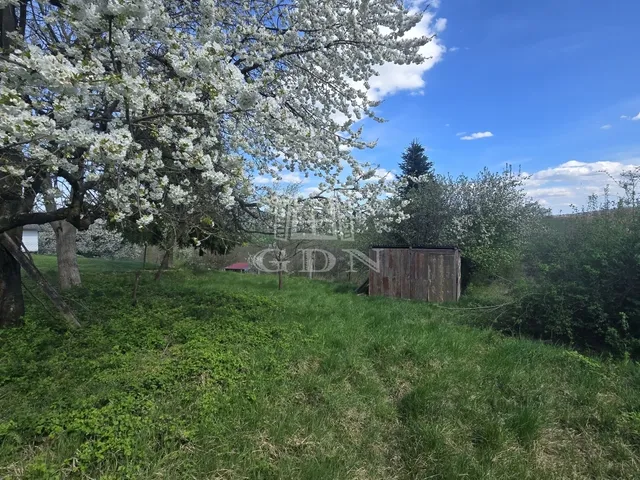 Eladó telek Zalaegerszeg, Szenterzsébethegy 4376 nm