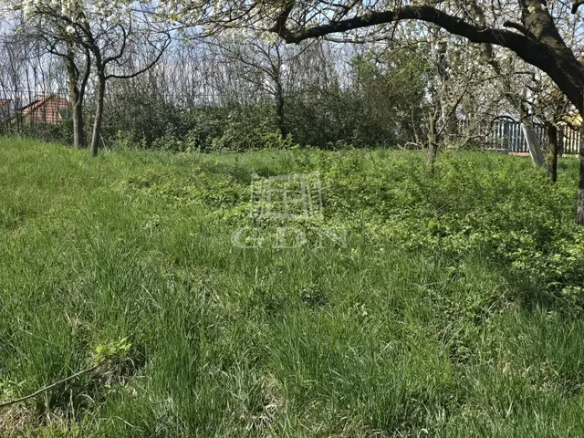 Eladó telek Zalaegerszeg, Szenterzsébethegy 4376 nm