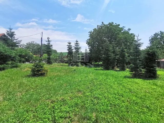 Eladó telek Nagykutas 5209 nm