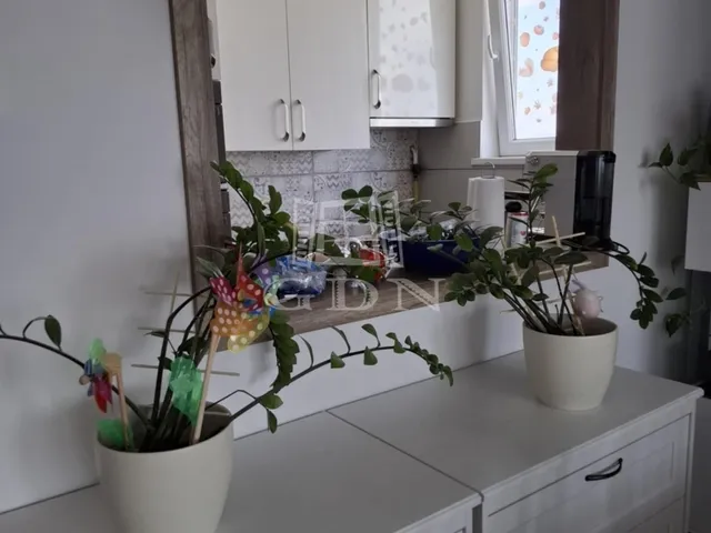 Eladó lakás Budapest XIV. kerület 46 nm