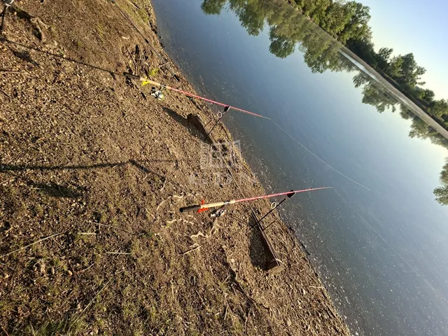 Eladó telek Tiszakécske, Tiszabög 30000 nm