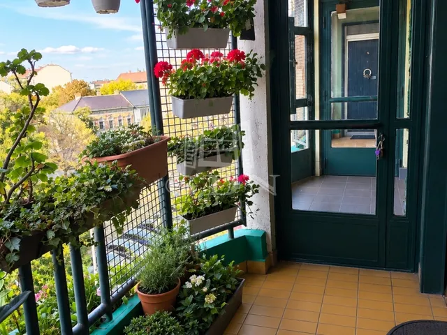 Eladó lakás Budapest X. kerület, Ligettelek 86 nm