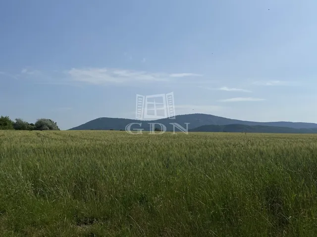 Eladó mezőgazdasági ingatlan Solymár 1920 nm