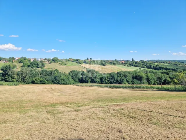 Eladó telek Zalaegerszeg, Szenterzsébethegy 9998 nm