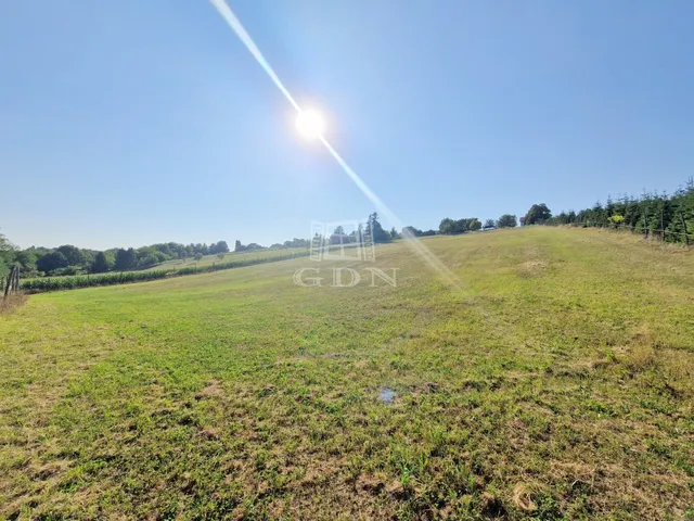 Eladó telek Zalaegerszeg, Szenterzsébethegy 9998 nm