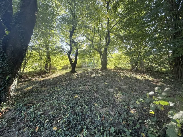 Eladó telek Zalaegerszeg, Ebergény 779 nm