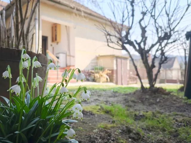 Eladó ház Csatár 65 nm