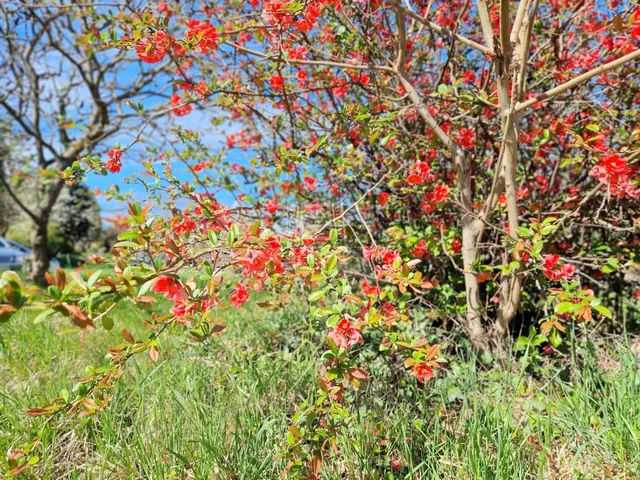 Eladó üdülő és hétvégi ház Zalakaros 65 nm