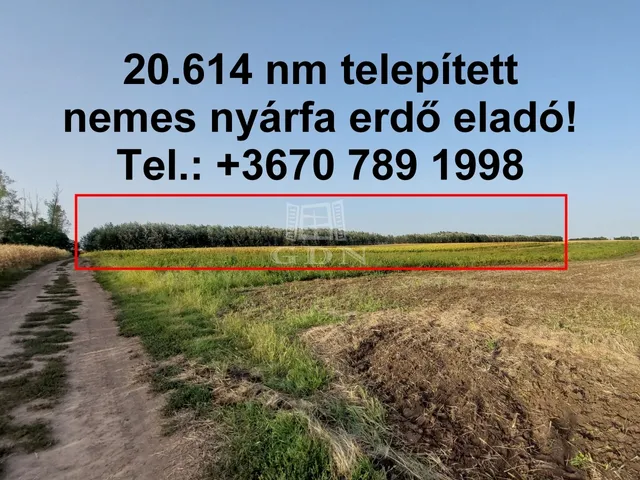 Eladó mezőgazdasági ingatlan Hajdúnánás 20617 nm