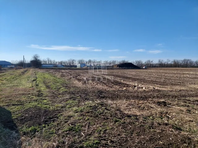 Eladó kereskedelmi és ipari ingatlan Újfehértó 13705 nm