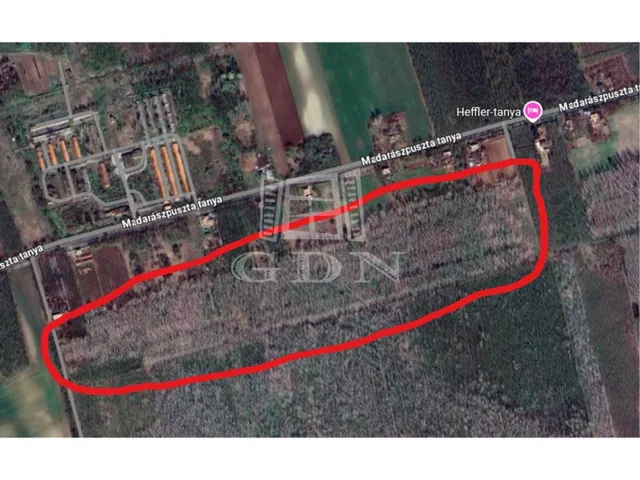 Eladó mezőgazdasági ingatlan Madaras 110667 nm