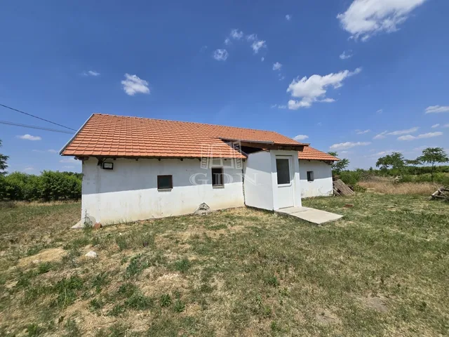 Eladó mezőgazdasági ingatlan Bordány 80 nm